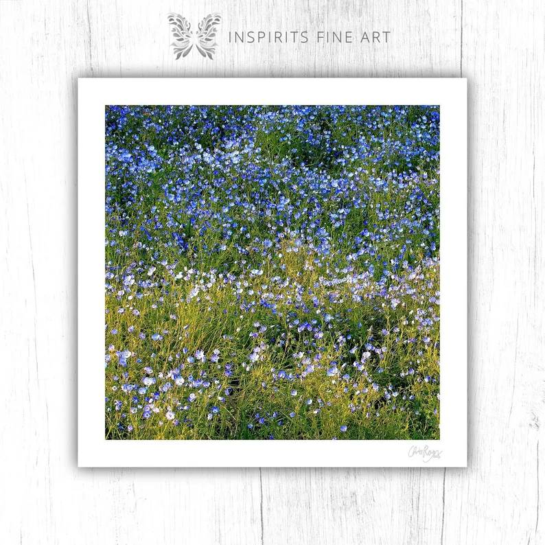 Forget Me Not: Blue Green Wildflower Art Print - Image 3