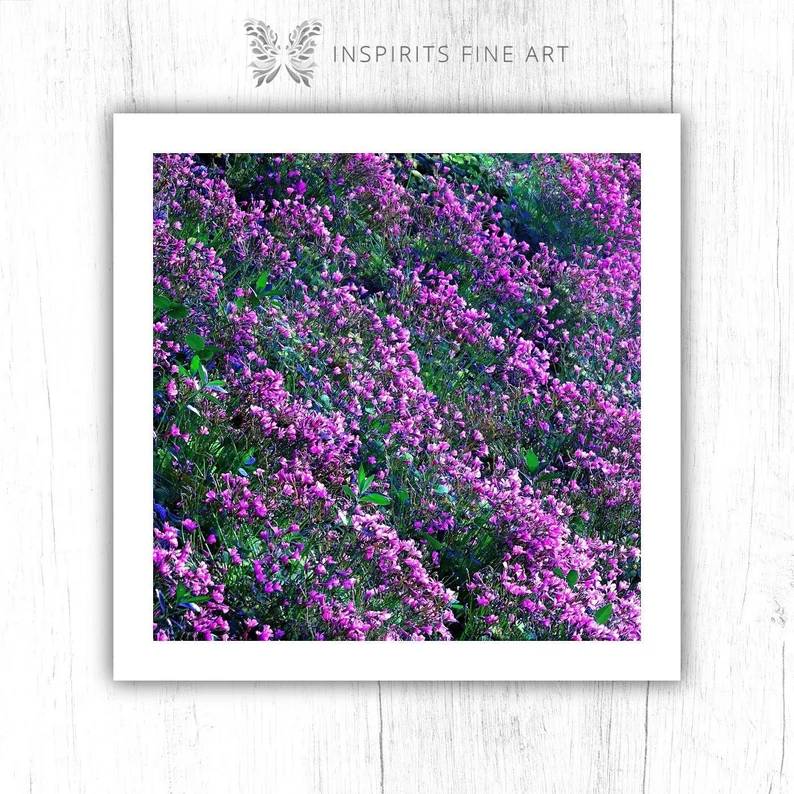 Waves of Pink: Green & Purple Woodsorrel Art Print - Image 3