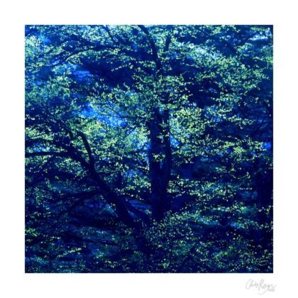 Seeds of Life: Pointillist Tree Art Print